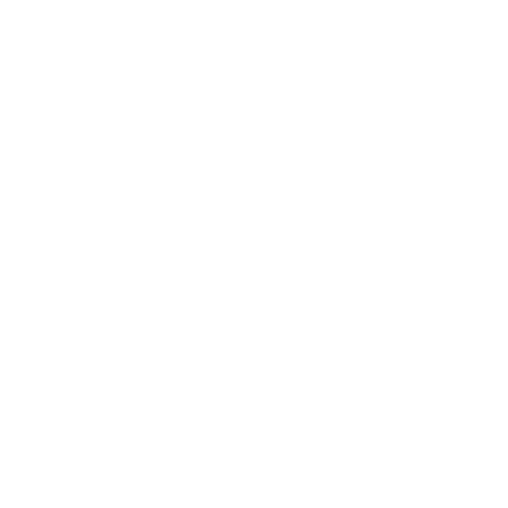 Bodywork Coaching Retreats